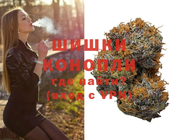дурь Алзамай