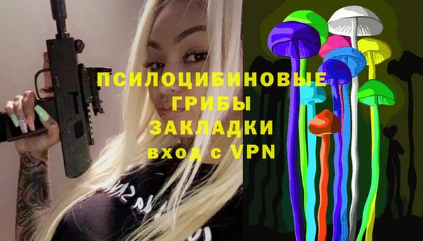 дурь Алзамай