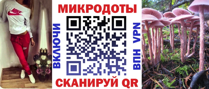 магазин    Камбарка  Псилоцибиновые грибы Psilocybine cubensis 